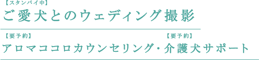 ご愛犬とのウェディング撮影アロマココロカウンセリング・介護犬サポート